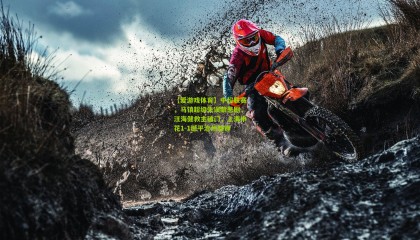 【爱游戏体育】中超联赛，马镇超级失误酿悲剧，汪海健救主破门，上海申花1-1憾平沧州雄狮